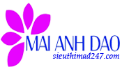 CÔNG TY TNHH DU LỊCH VÀ THƯƠNG MẠI MAI ANH ĐÀO